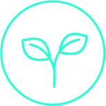Soothing Entertainment icon